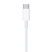 Kabel Apple USB-C - USB-C 2,0 m MLL82ZM/A Biały