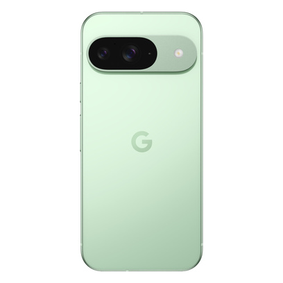 Google Pixel 9 5G 12/256GB Zielony (Wintergreen)