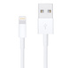 Kabel Apple Lightning - USB 1,0 m MXLY2ZM/A Biały