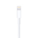 Kabel Apple Lightning - USB 1,0 m MXLY2ZM/A Biały